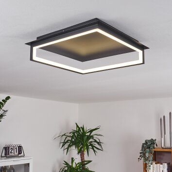 Taxmido Ceiling Light LED black, 1-light source