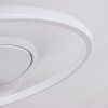 Panchita Ceiling Light LED white, 1-light source, Remote control