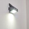 Wiborg Outdoor Wall Light LED anthracite, 1-light source, Motion sensor