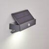 Wiborg Outdoor Wall Light LED anthracite, 1-light source, Motion sensor