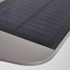 Solar light Camden LED grey, 1-light source, Motion sensor