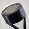 Solar light set Lakeland LED black, 1-light source
