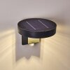 Outdoor Wall Light Townsville LED black, 1-light source, Motion sensor