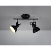 Reality GINA Spotlight black, 2-light sources