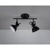 Reality GINA Spotlight black, 2-light sources