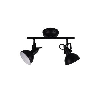 Reality GINA Spotlight black, 2-light sources