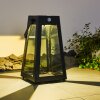 Arnhem solar light LED black, 1-light source