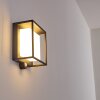 Lansing Outdoor Wall Light LED anthracite, 1-light source, Motion sensor