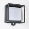 Lansing Outdoor Wall Light LED anthracite, 1-light source, Motion sensor