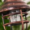 HANGZHOU solar light LED rust-coloured, transparent, clear, 1-light source