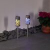 GORIZIA solar light LED stainless steel, 2-light sources, Colour changer