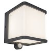 Lutec DOBLO Solar lights LED anthracite, 1-light source, Motion sensor