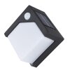 Globo Solar Outdoor Wall Light LED black, 8-light sources, Motion sensor