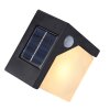 Globo Solar Outdoor Wall Light LED black, 8-light sources, Motion sensor