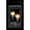 Globo solar light LED black, 2-light sources