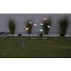 Globo solar light LED black, 8-light sources