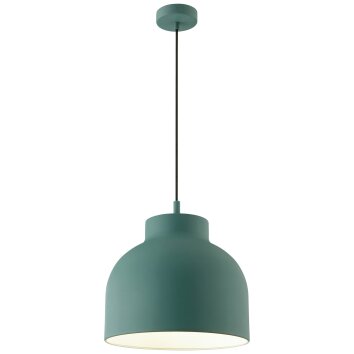 Brillliant Sven Pendant Light green, 1-light source