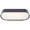 Brillliant Samira Outdoor Wall Light LED black, 1-light source