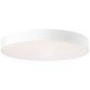 Brillliant Slimline Ceiling Light LED white, 1-light source, Remote control
