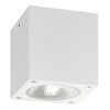LCD 5029 outdoor ceiling light LED white, 1-light source