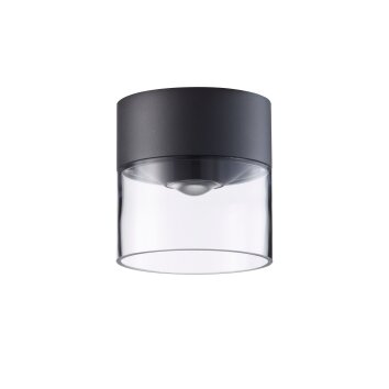LCD 5068 outdoor ceiling light LED black, 1-light source