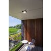 Lutec Helena outdoor ceiling light LED anthracite, 1-light source