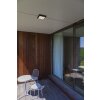 Lutec Helena outdoor ceiling light LED anthracite, 1-light source