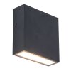 Lutec Gemini XF Outdoor Wall Light LED black, 1-light source