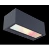 Lutec GEMINI Outdoor Wall Light LED anthracite, 2-light sources, Colour changer