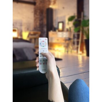 Lutec Remote remote control grey, white