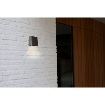Lutec Gemini XF Outdoor Wall Light LED stainless steel, 1-light source