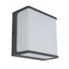 Lutec Doblo Outdoor Wall Light LED anthracite, 1-light source
