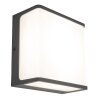 Lutec Doblo Outdoor Wall Light LED anthracite, 1-light source