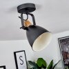 Elm Ceiling Light anthracite, Light wood, 1-light source