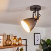 Elm Ceiling Light anthracite, Light wood, 1-light source
