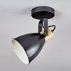 Elm Ceiling Light anthracite, Light wood, 1-light source