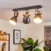 Elm Ceiling Light anthracite, Light wood, 3-light sources