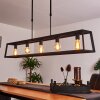 Foss Pendant Light black, 5-light sources