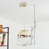 Degevos Pendant Light gold, 1-light source