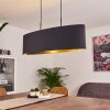 Huarate Pendant Light black, 2-light sources