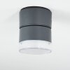Papagayos outdoor ceiling light LED anthracite, white, 1-light source, Colour changer