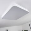 Batamoto Ceiling Light LED white, 2-light sources, Remote control, Colour changer