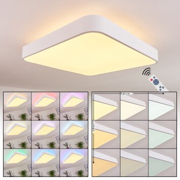 Batamoto Ceiling Light LED white, 2-light sources, Remote control, Colour changer