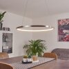 Calcium Pendant Light LED matt nickel, 1-light source