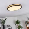 Kirtland Ceiling Light LED gold, black, 1-light source