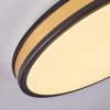 Kirtland Ceiling Light LED gold, black, 1-light source