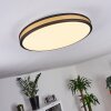 Kirtland Ceiling Light LED gold, black, 1-light source