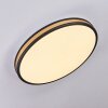 Kirtland Ceiling Light LED gold, black, 1-light source