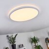 Boyero Ceiling Light LED white, 1-light source