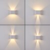 Everton Outdoor Wall Light LED white, 2-light sources